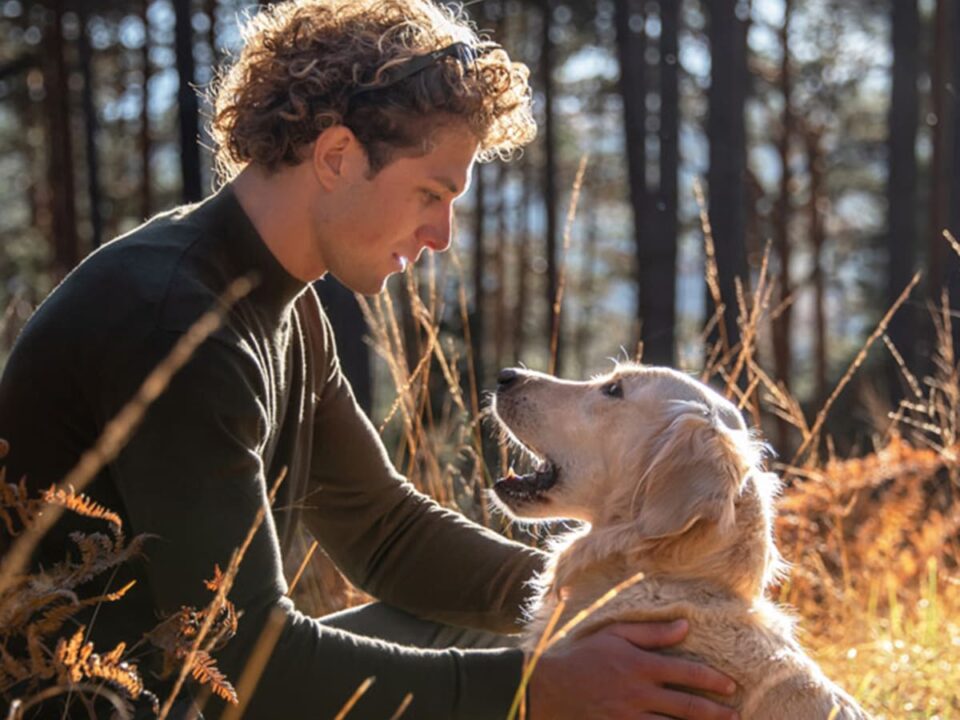 PetAlpin - Hunde News