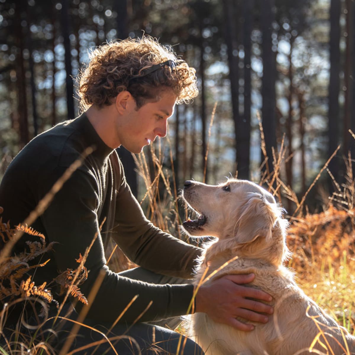 PetAlpin - Hunde News